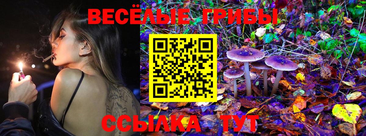 Псилоцибиновые грибы MAGIC MUSHROOMS Чита