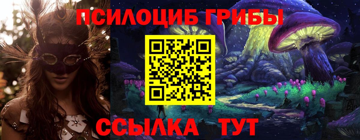 Чита  Псилоцибиновые грибы Cubensis  Вход с VPN 